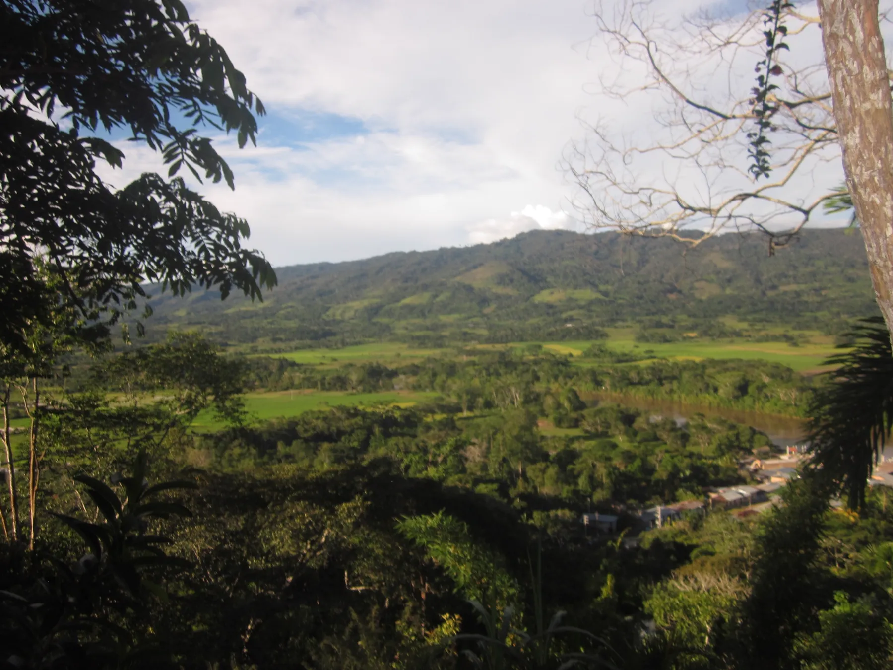 Valle del Alto Mayo junto al río, en Moyobamba